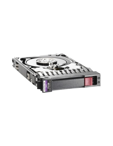 DISCO DURO HP 300GB SAS 2.5 15000RPM