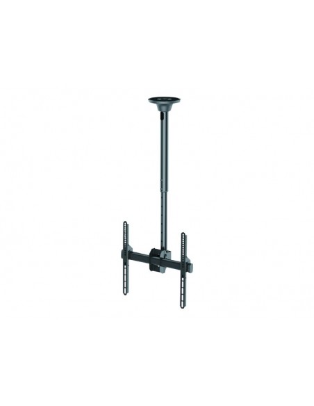 SOPORTE MONITOR TECHO NEWSTAR C440 HASTA 60