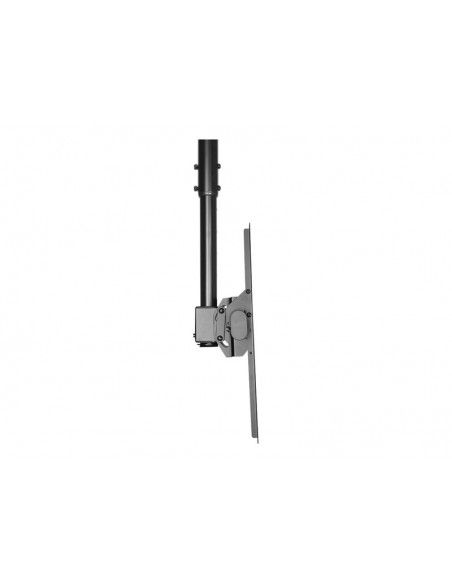 SOPORTE MONITOR TECHO NEWSTAR C440 HASTA 60