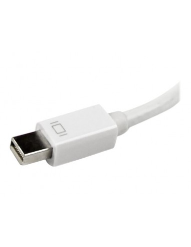 ADAPTADOR STARTECH MINI DISPLAYPORT /...