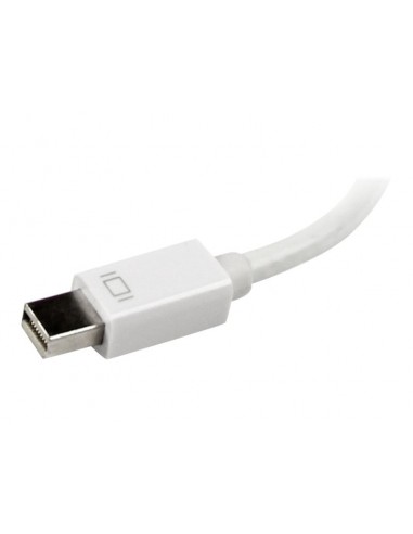 ADAPTADOR STARTECH MINI DISPLAYPORT /...