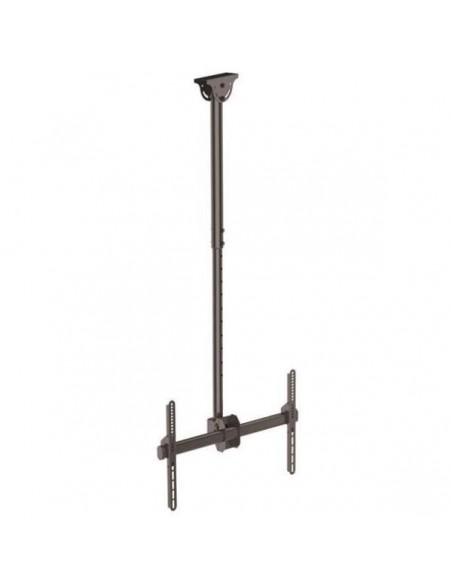 SOPORTE TECHO STARTECH FLATPNLCEIL 75 BLACK
