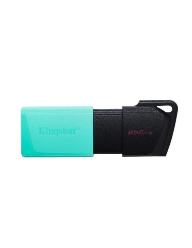 MEMORIA USB 3.2 256GB KINGSTON DTXM...