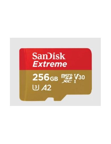 MEMORIA MICRO SD 256GB SANDISK...