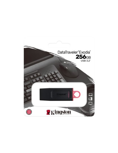 MEMORIA USB 3.2 256GB KINGSTON DTX BLACK