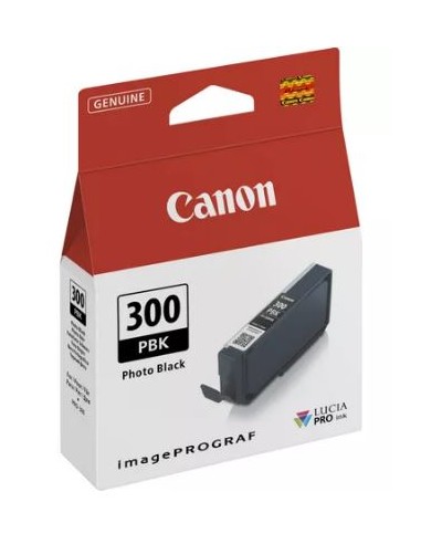 CARTUCHO CANON 300 PHOTO BLACK...