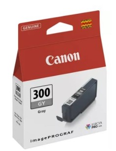 CARTUCHO CANON 300 GREY...