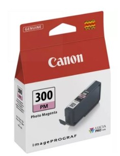CARTUCHO CANON 300 PHOTO...