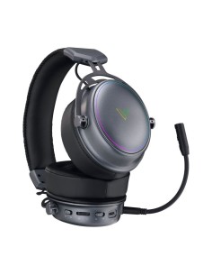 AURICULAR + MIC RAPOO... 2