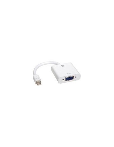 ADAPTADOR V7 MINI DISPLAYPORT MACHO /...