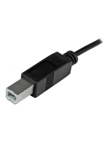 CABLE STARTECH USB-C MACHO / USB B MACHO 1M